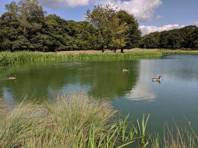 Tatton Mere